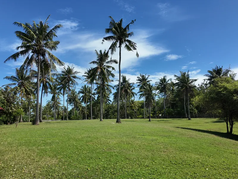 Coco Heights - Photo 9