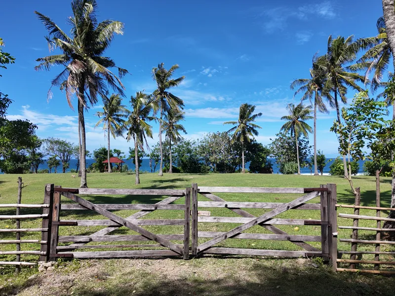 Coco Heights - Photo 10