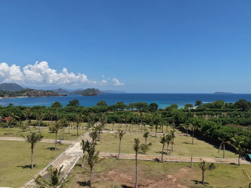Coconut Grove - Photo 7