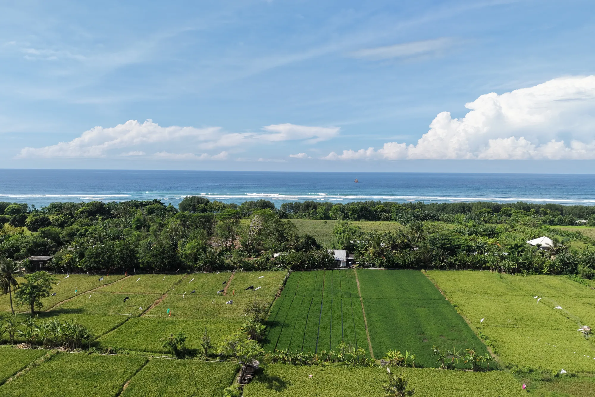 Sumbawa Coastline Sunset