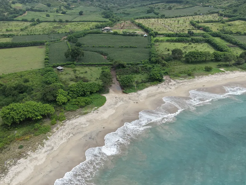 Hippy Bay - Photo 10