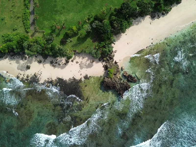 Turtle Tracks - Photo 17